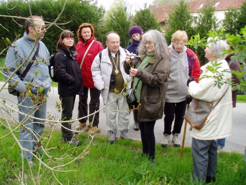 2006 04 Plantes alimentaire 04